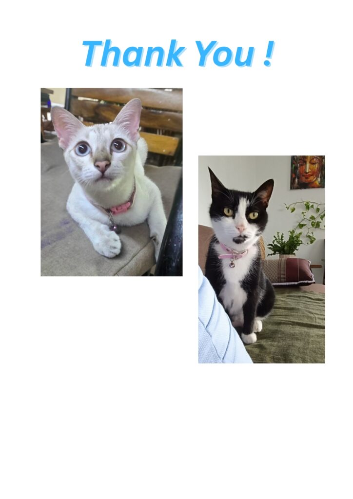 Surya Kep Worldwide Kitchen - Menu page-13